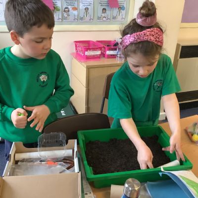 Y3 - GARDENS FOR WELLBEING