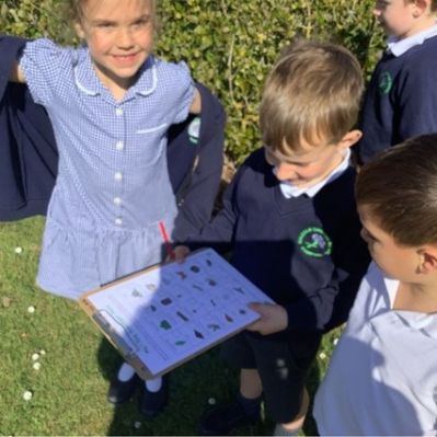 Y1 - SPRING WALK