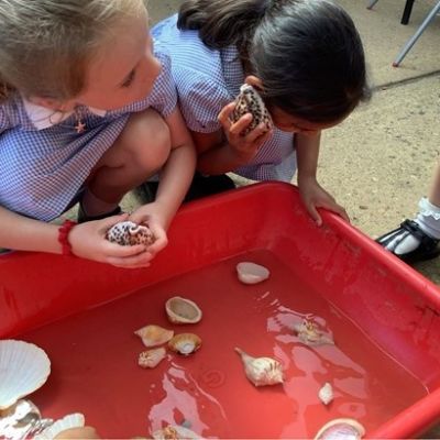 Y1 - COMMUNITIES BY THE SEA