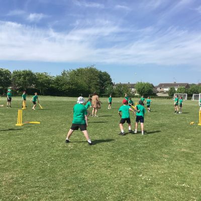 Y6 - DIAMOND CRICKET
