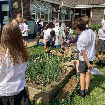 Y4 - GEOGRAPHY