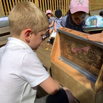 FS - BEEKEEPER VISIT